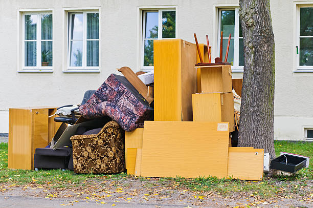 Best Yard Cleanup Services  in Maple Lake, MN